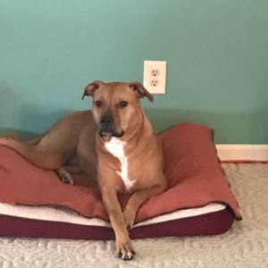 Meet your Posher, Angela